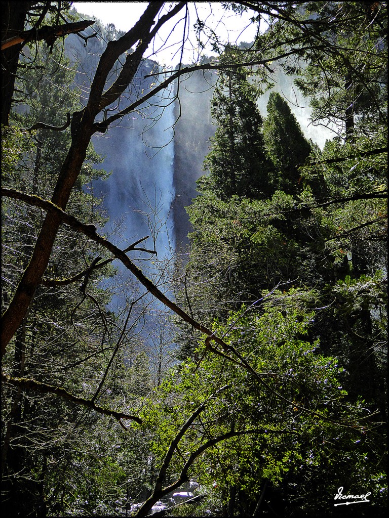 Foto: 160421-012 YOSEMITE - Yosemite (California), Estados Unidos