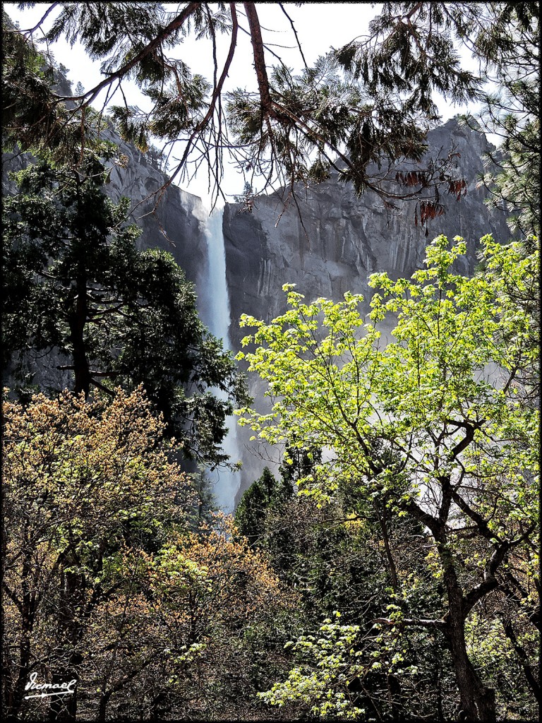 Foto: 160421-053 YOSEMITE - Yosemite (California), Estados Unidos
