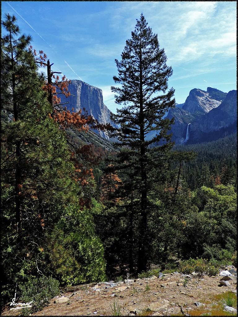 Foto: 160421-021 YOSEMITE - Yosemite (California), Estados Unidos