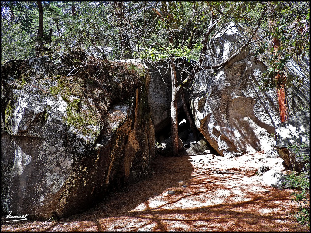 Foto: 160421-087 YOSEMITE - Yosemite (California), Estados Unidos