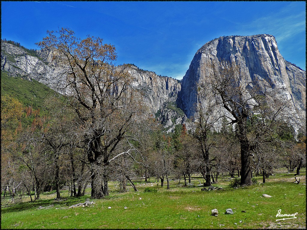 Foto: 160421-055 YOSEMITE - Yosemite (California), Estados Unidos