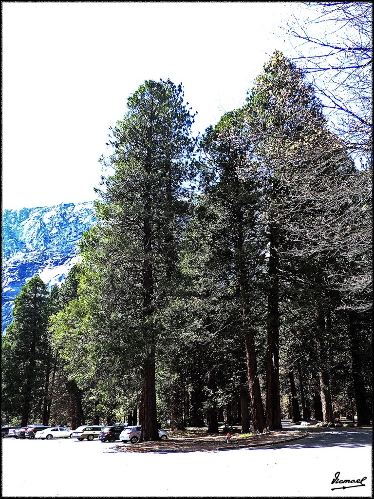 Foto: 160421-118 YOSEMITE - Yosemite (California), Estados Unidos