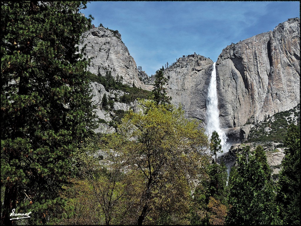 Foto: 160421-074 YOSEMITE - Yosemite (California), Estados Unidos