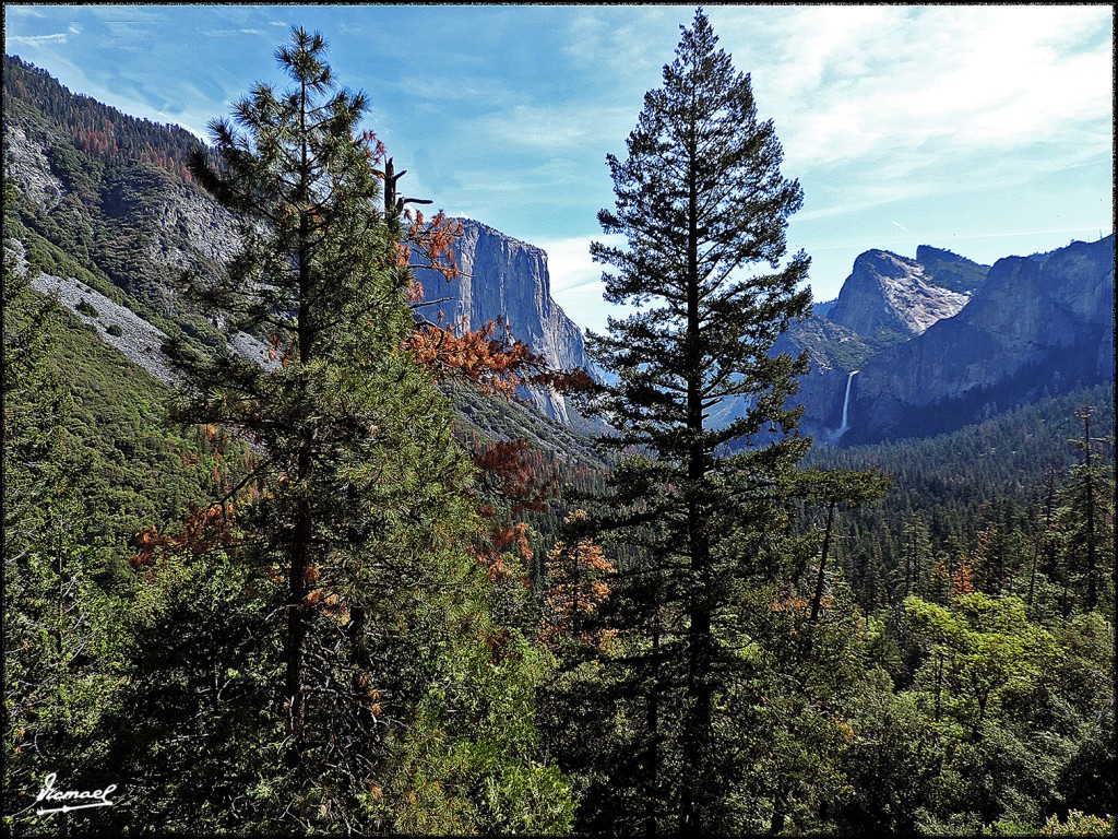 Foto: 160421-022 YOSEMITE - Yosemite (California), Estados Unidos