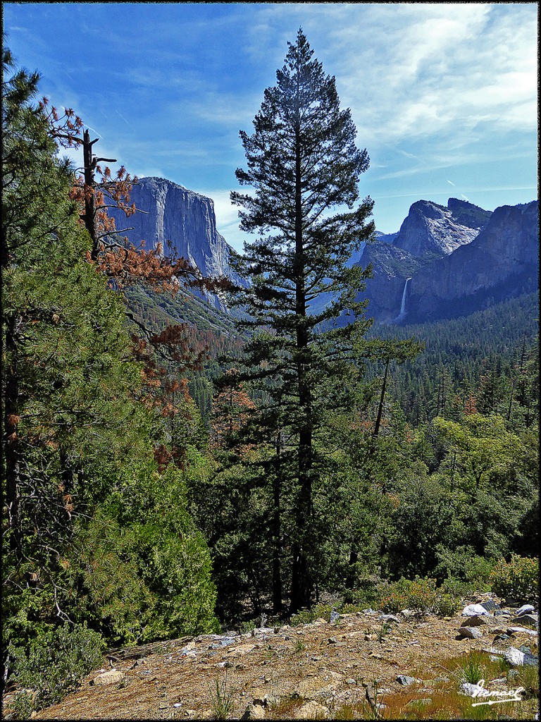 Foto: 160421-006 YOSEMITE - Yosemite (California), Estados Unidos
