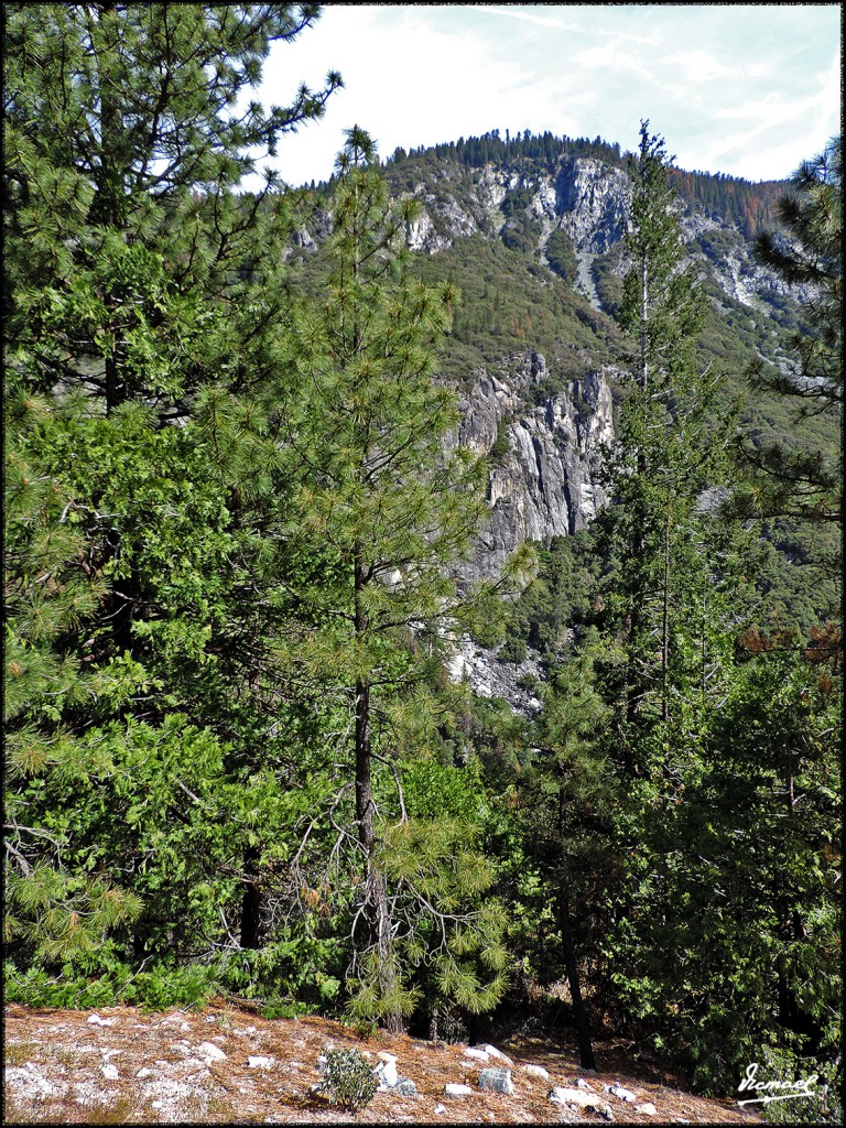 Foto: 160421-019 YOSEMITE - Yosemite (California), Estados Unidos