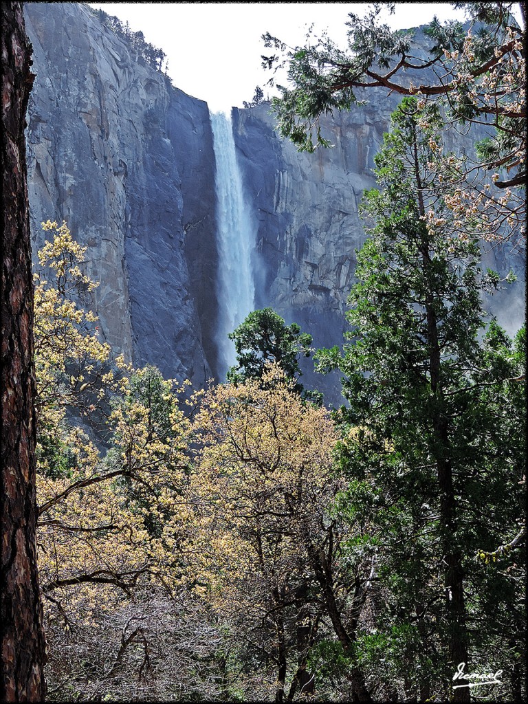 Foto: 160421-060 YOSEMITE - Yosemite (California), Estados Unidos