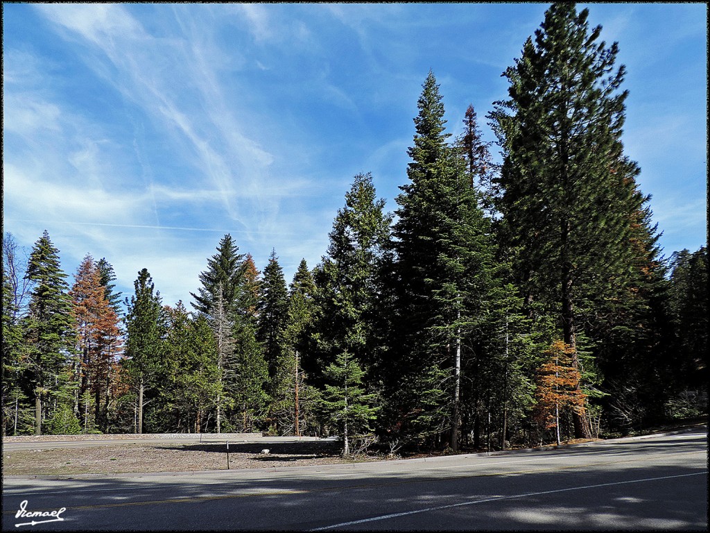 Foto: 160421-013 YOSEMITE - Yosemite (California), Estados Unidos