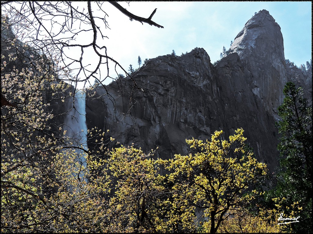 Foto: 160421-038 YOSEMITE - Yosemite (California), Estados Unidos