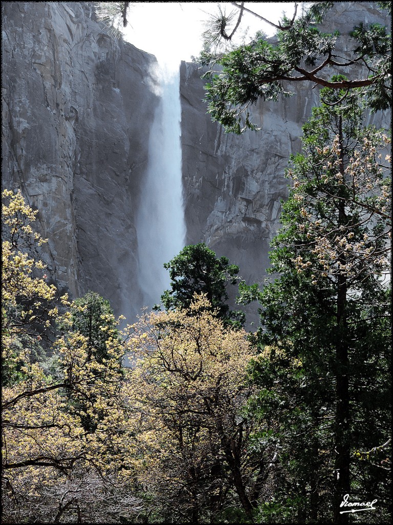 Foto: 160421-062 YOSEMITE - Yosemite (California), Estados Unidos