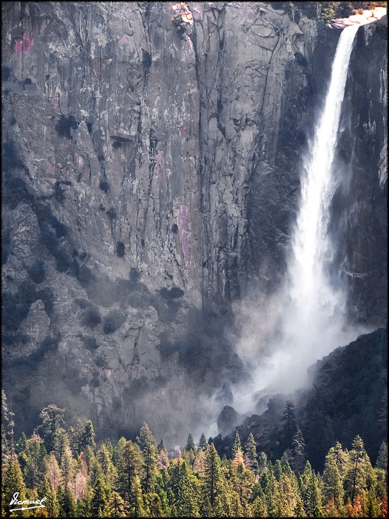 Foto: 160421-026 YOSEMITE - Yosemite (California), Estados Unidos