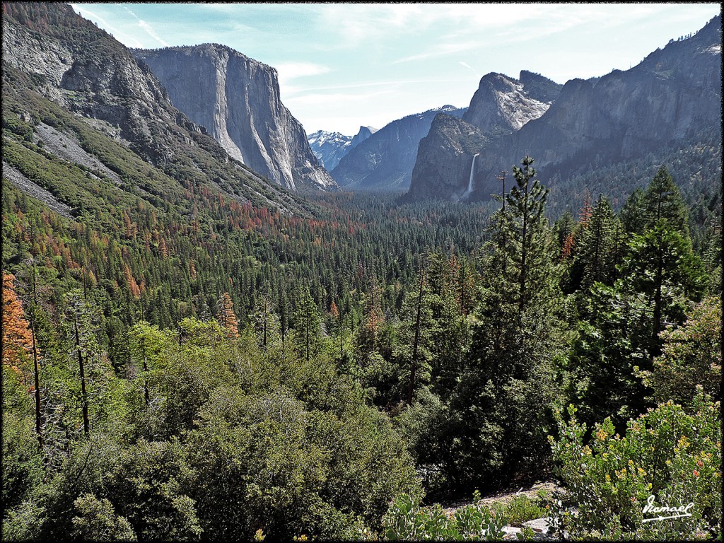 Foto: 160421-027 YOSEMITE - Yosemite (California), Estados Unidos