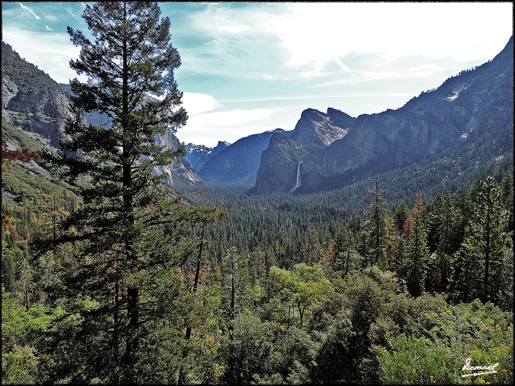 Foto: 160421-015 YOSEMITE - Yosemite (California), Estados Unidos