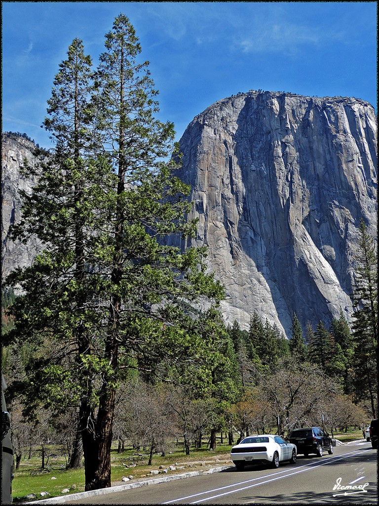 Foto: 160421-033 YOSEMITE - Yosemite (California), Estados Unidos