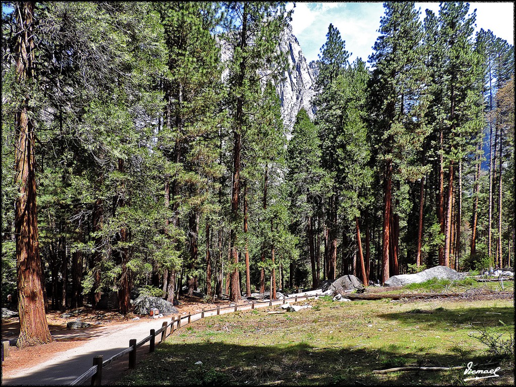 Foto: 160421-076 YOSEMITE - Yosemite (California), Estados Unidos