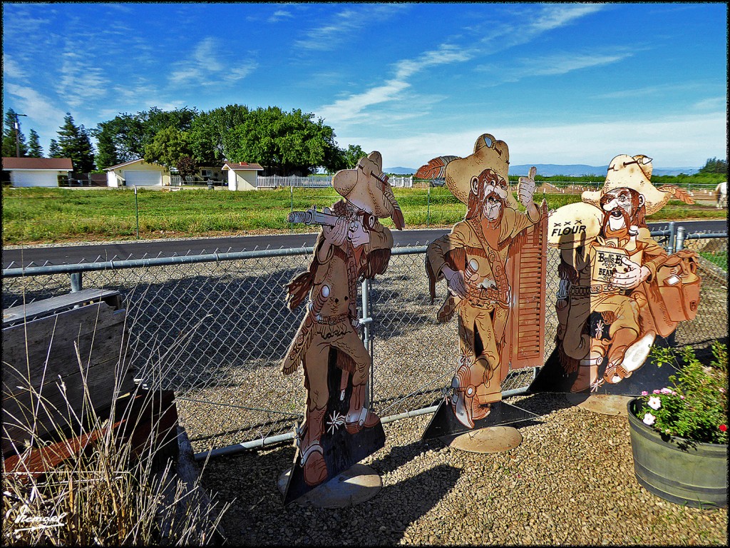 Foto: 160421-131 RUTA SAN FRANCISCO - San Francisco (California), Estados Unidos