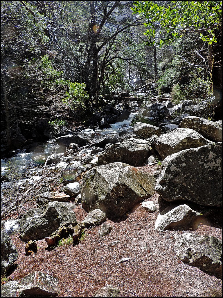 Foto: 160421-041 YOSEMITE - Yosemite (California), Estados Unidos