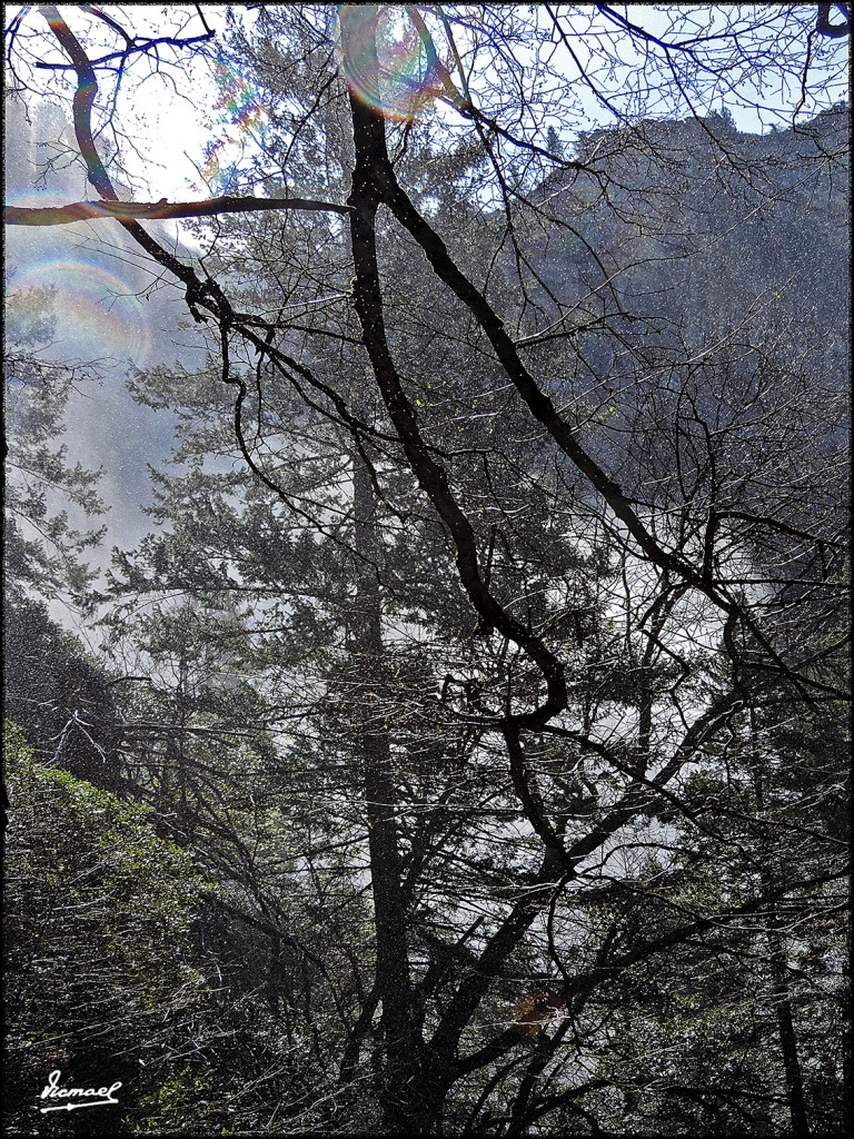 Foto: 160421-046 YOSEMITE - Yosemite (California), Estados Unidos