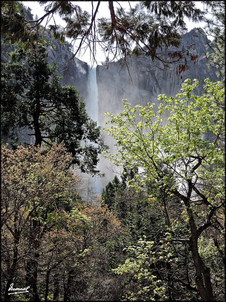 Foto: 160421-054 YOSEMITE - Yosemite (California), Estados Unidos