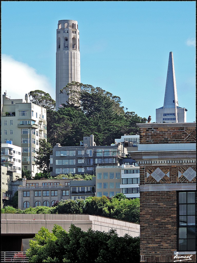 Foto: 160422-119 SAN FRANCISCO - San Francisco (California), Estados Unidos