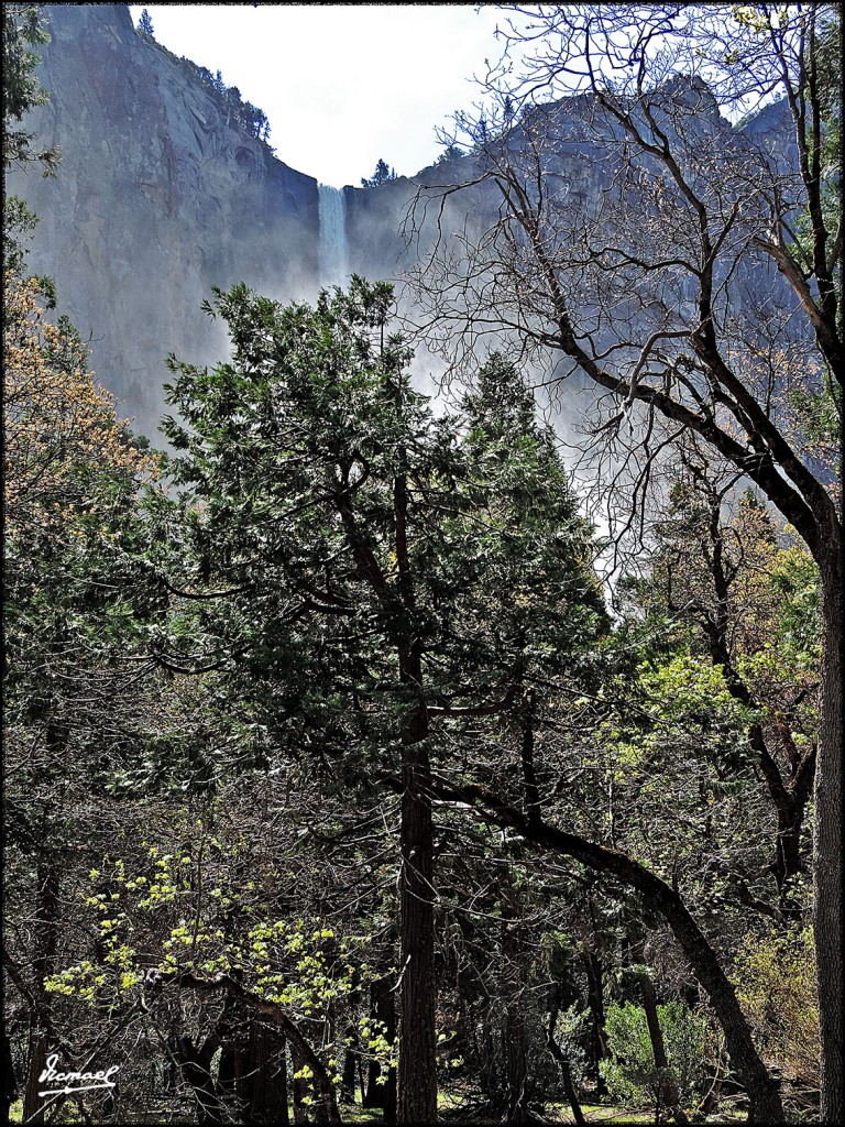Foto: 160421-032 YOSEMITE - Yosemite (California), Estados Unidos
