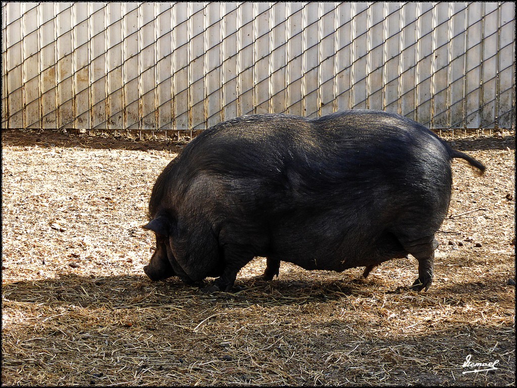 Foto: 160421-130 RUTA SAN FRANCISCO - San Francisco (California), Estados Unidos