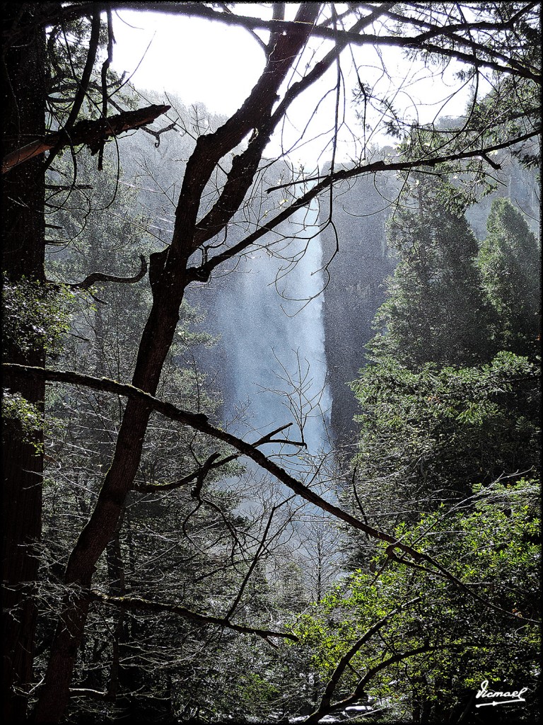 Foto: 160421-042 YOSEMITE - Yosemite (California), Estados Unidos