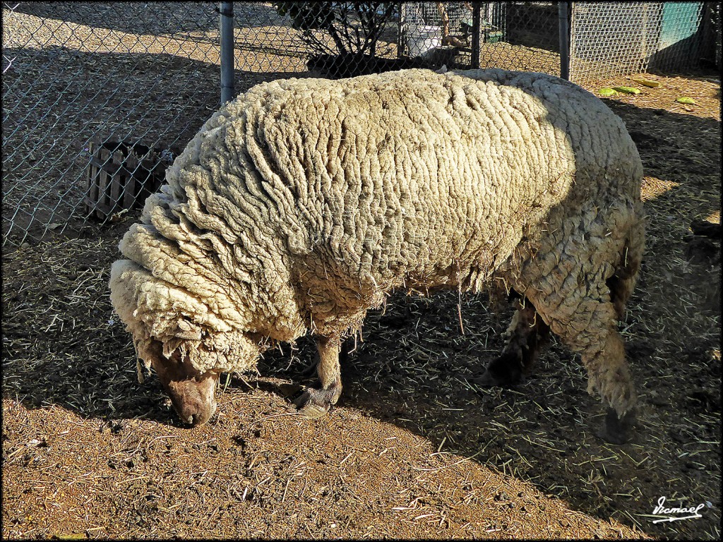 Foto: 160421-127 RUTA SAN FRANCISCO - San Francisco (California), Estados Unidos