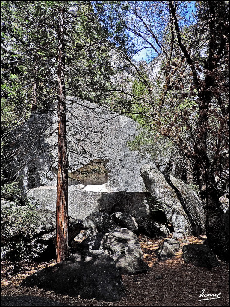 Foto: 160421-100 YOSEMITE - Yosemite (California), Estados Unidos