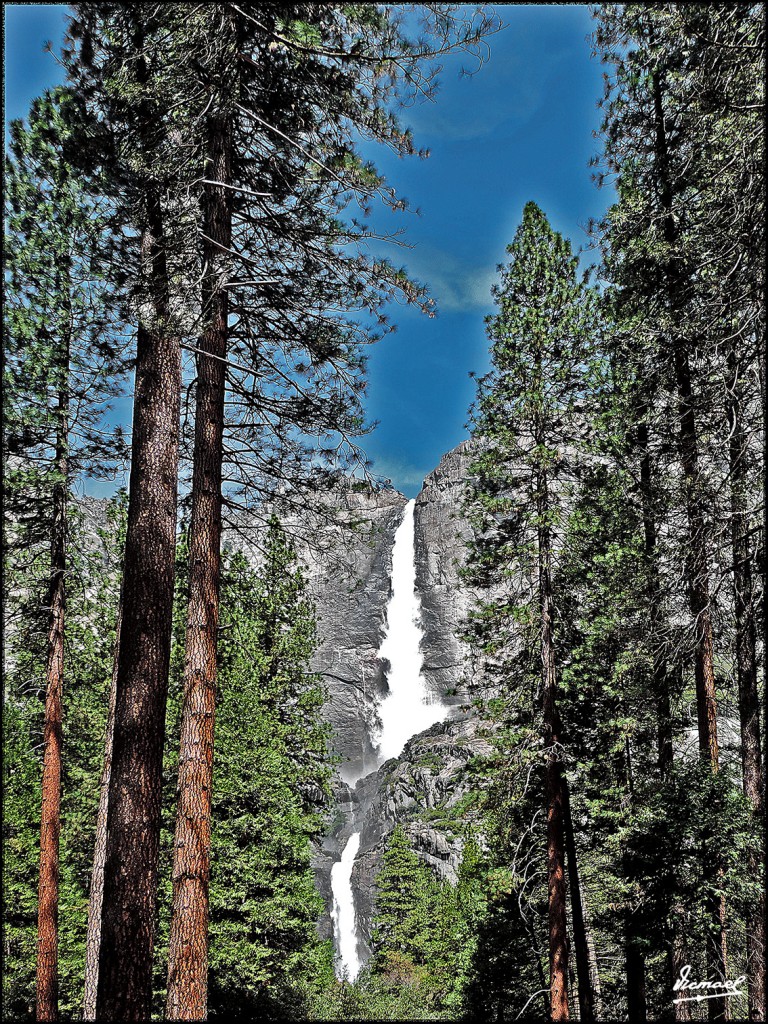 Foto: 160421-082 YOSEMITE - Yosemite (California), Estados Unidos