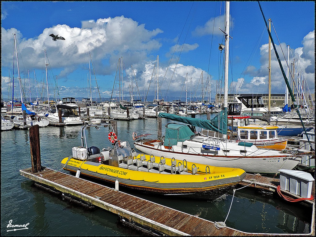Foto: 160422-115 SAN FRANCISCO - San Francisco (California), Estados Unidos