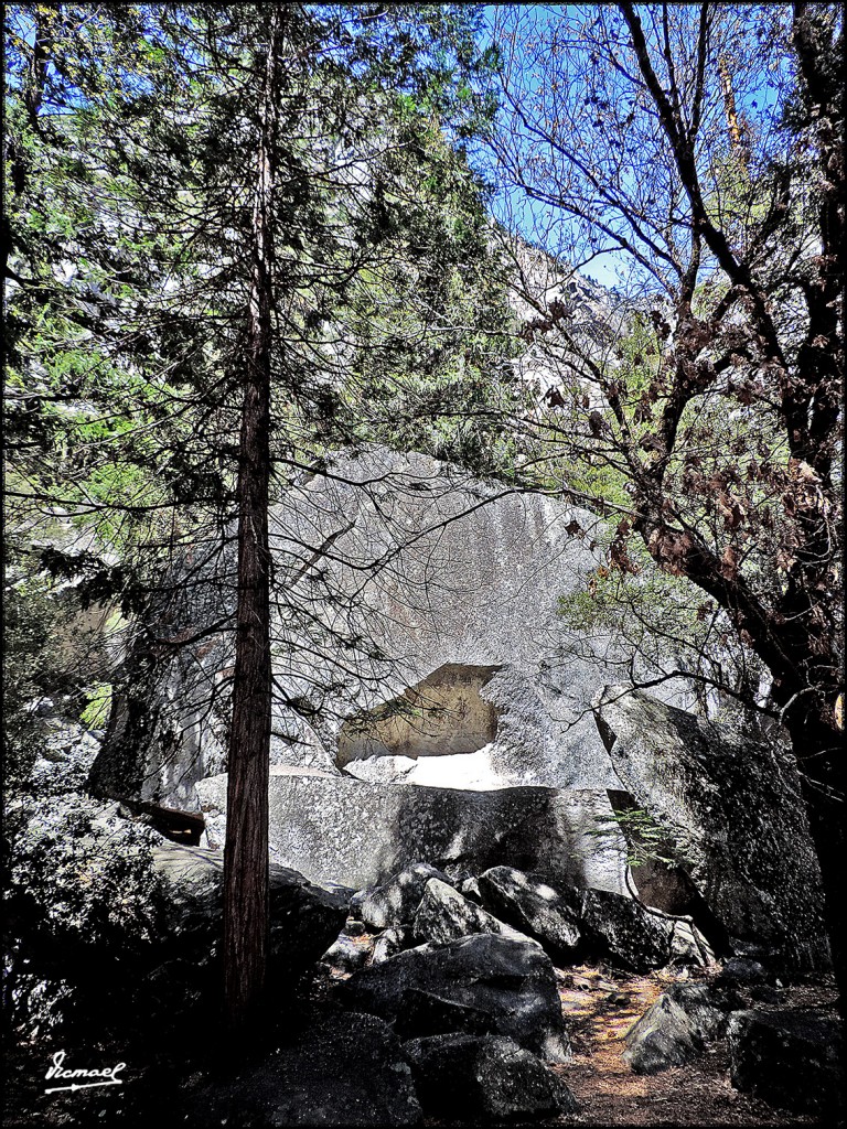 Foto: 160421-086 YOSEMITE - Yosemite (California), Estados Unidos