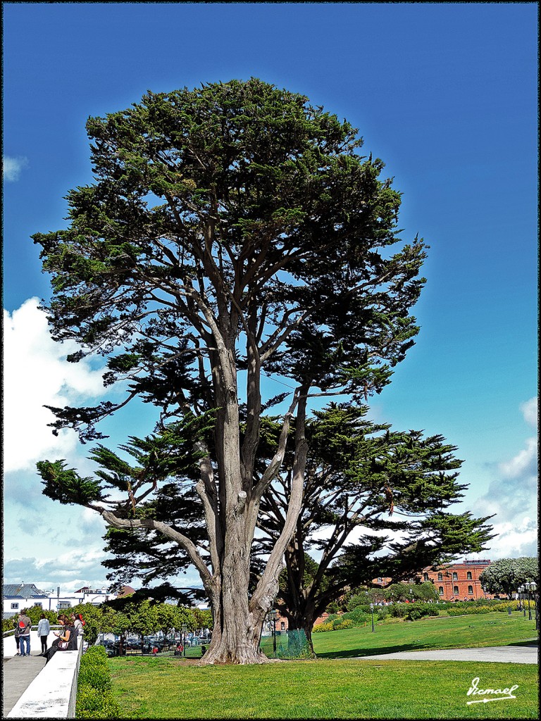 Foto: 160422-094 SAN FRANCISCO - San Francisco (California), Estados Unidos