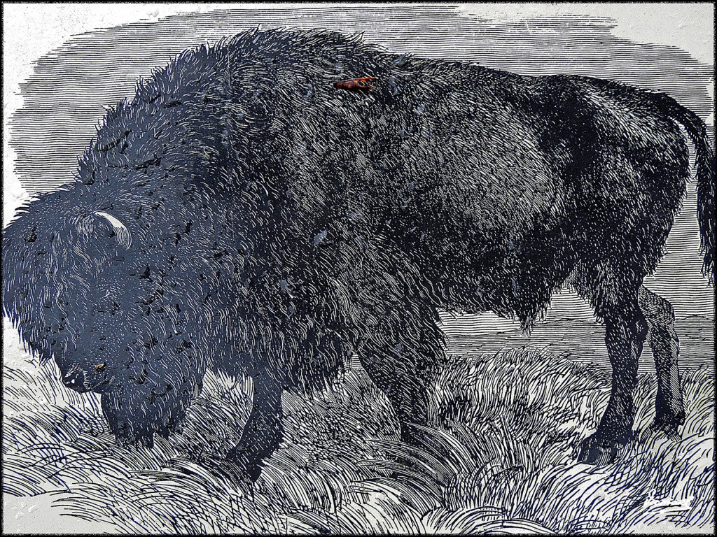 Foto: 160422-058 SAN FRANCISCO - San Francisco (California), Estados Unidos