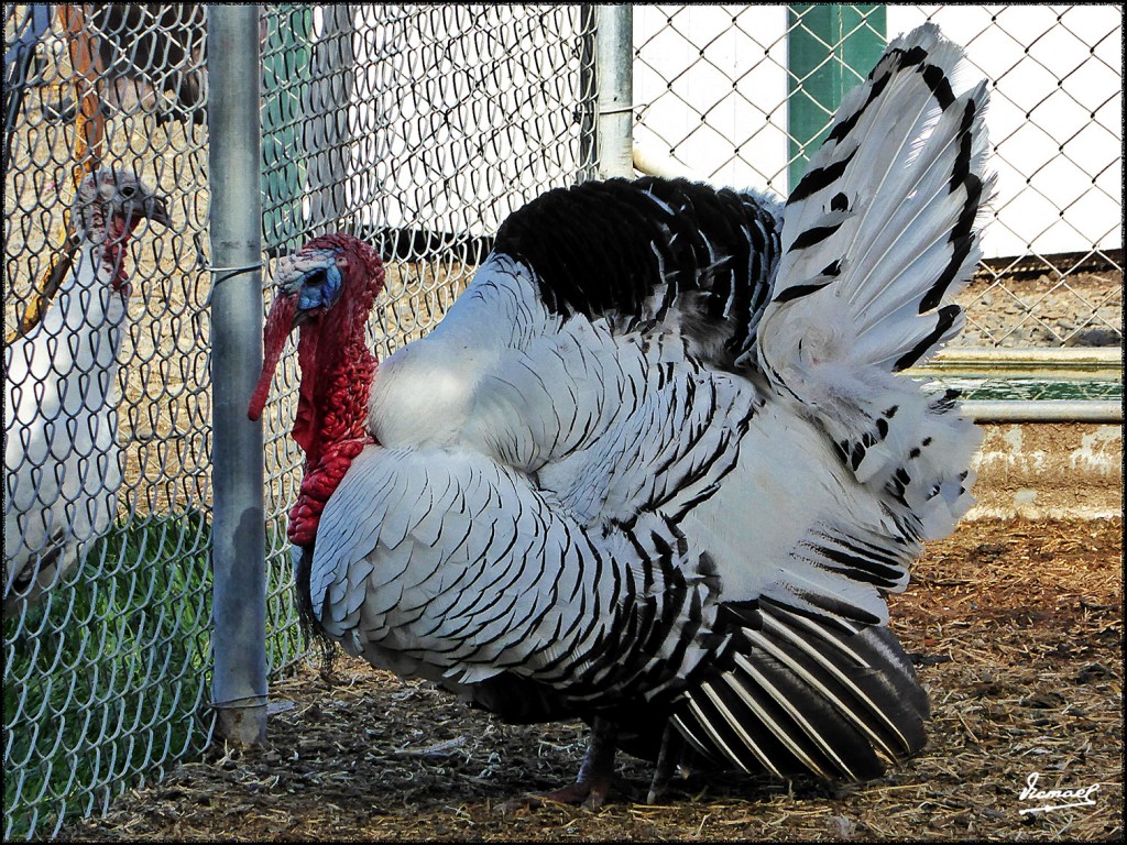 Foto: 160421-121 RUTA SAN FRANCISCO - San Francisco (California), Estados Unidos
