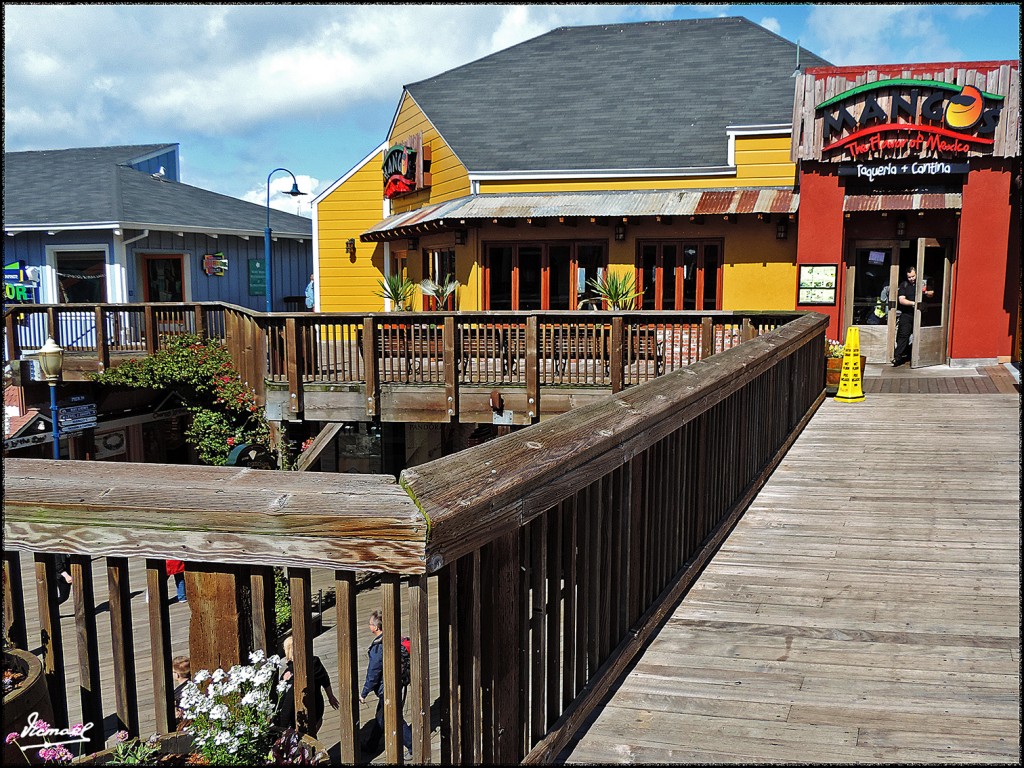 Foto: 160422-113 SAN FRANCISCO - San Francisco (California), Estados Unidos