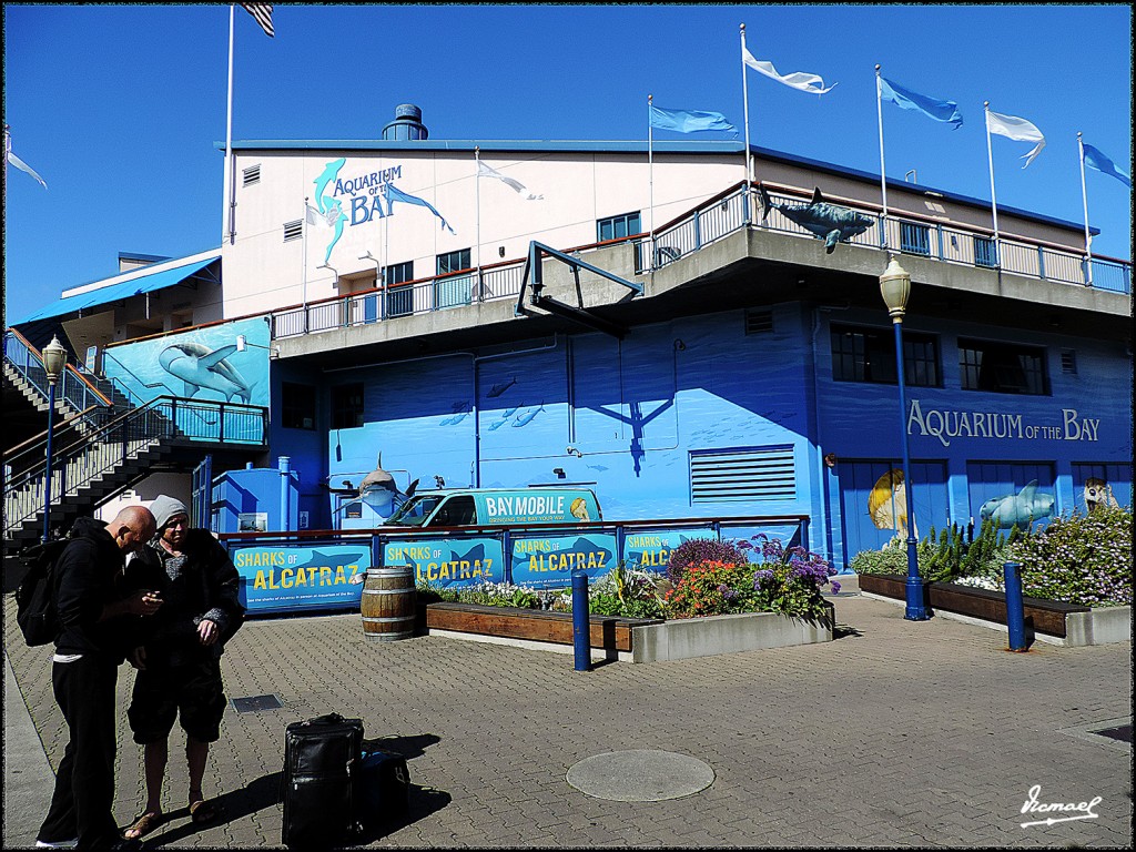 Foto: 160422-132 SAN FRANCISCO - San Francisco (California), Estados Unidos