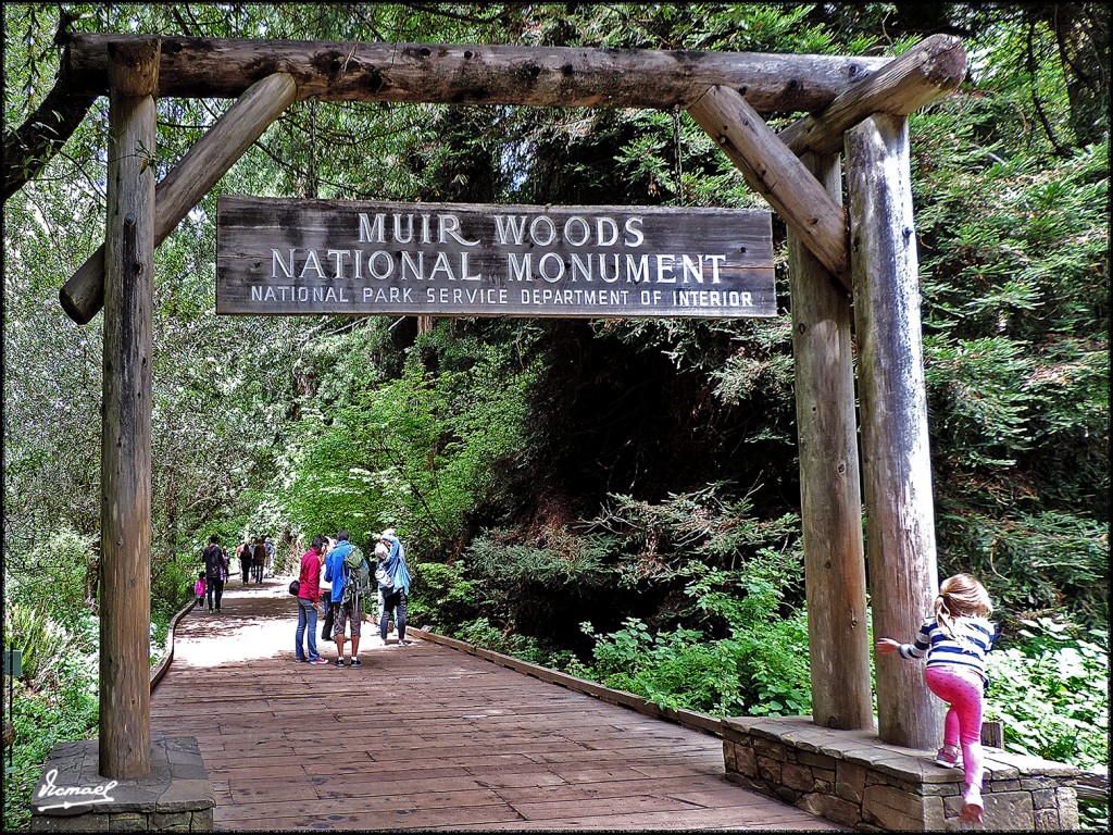 Foto: 160423-100 PARQUE MUIR WOODS - San Francisco (California), Estados Unidos