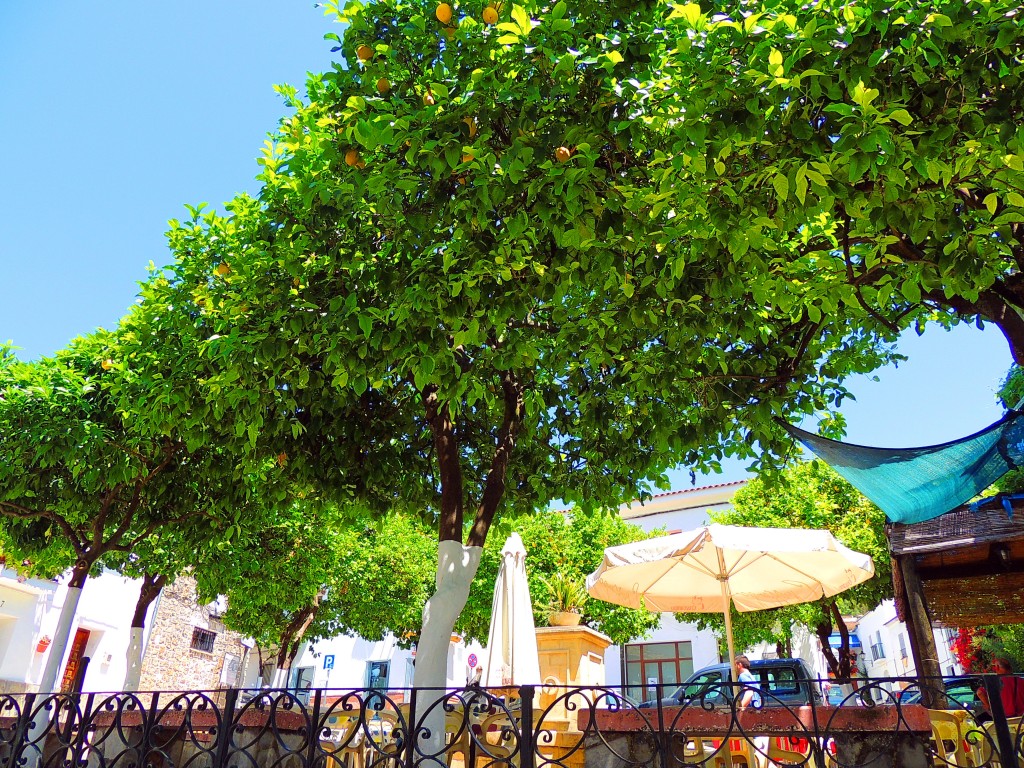 Foto de El Bosque (Cádiz), España
