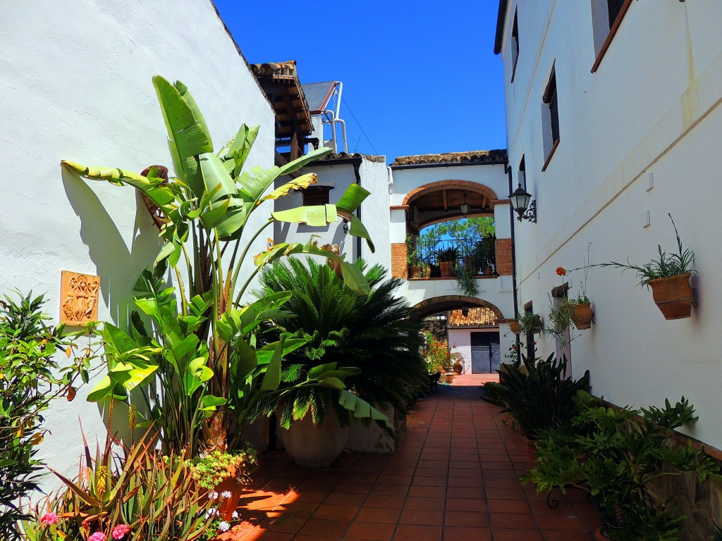 Foto de El Bosque (Cádiz), España