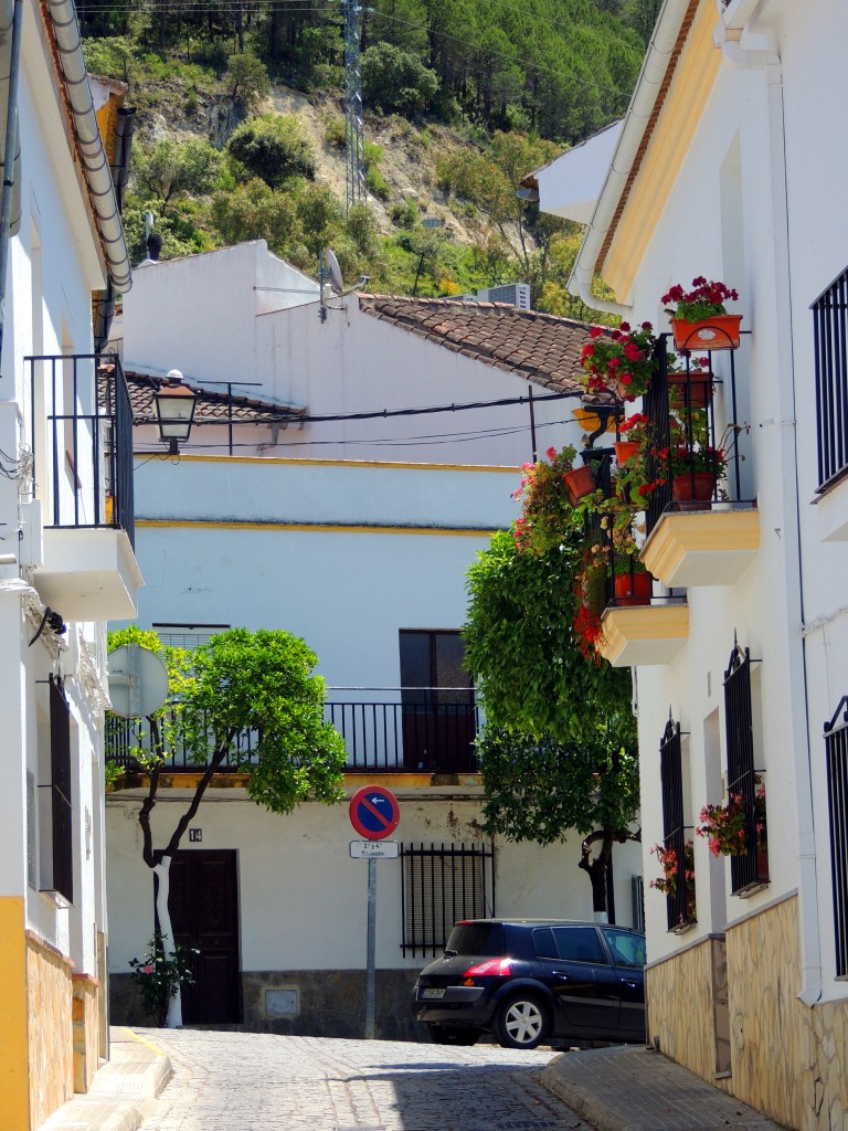 Foto de El Bosque (Cádiz), España