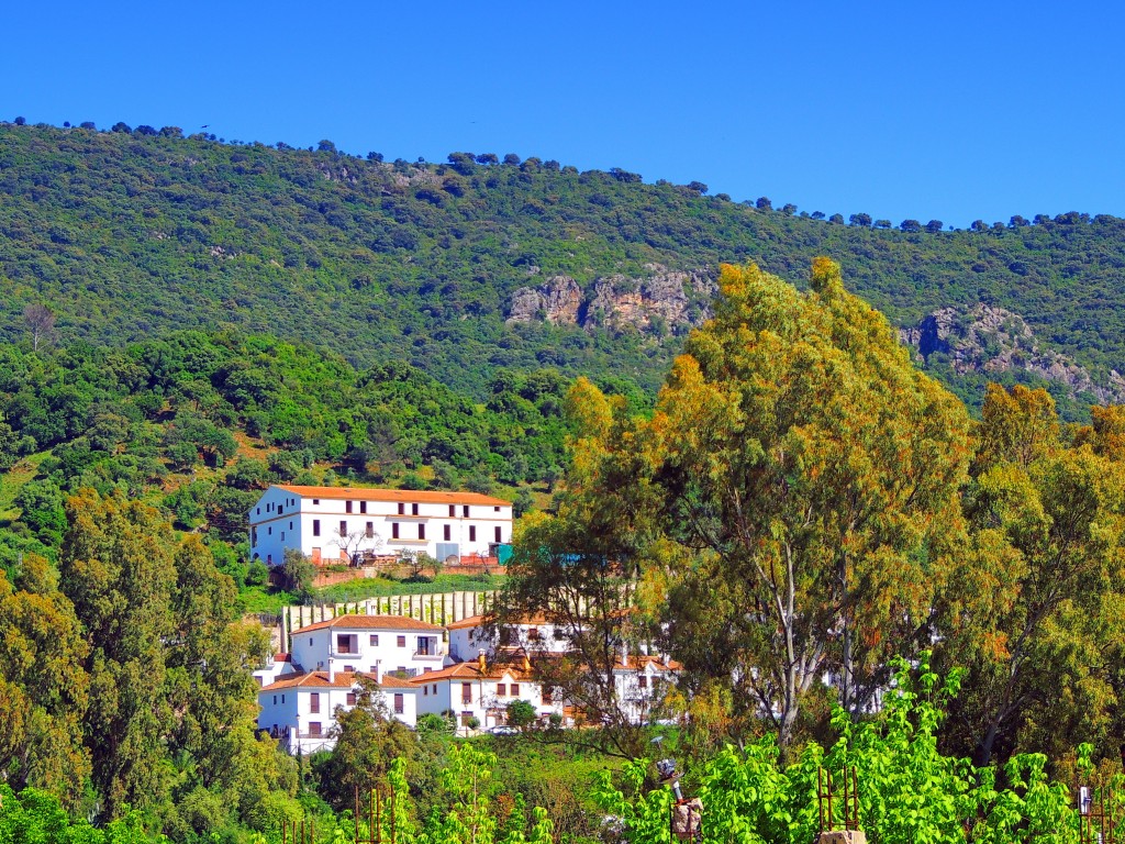 Foto de El Bosque (Cádiz), España