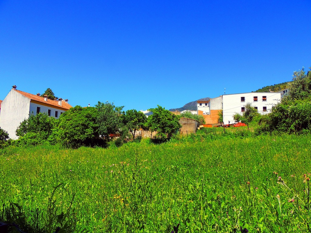 Foto de El Bosque (Cádiz), España