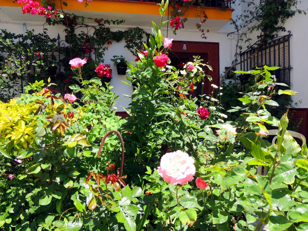Foto de El Bosque (Cádiz), España