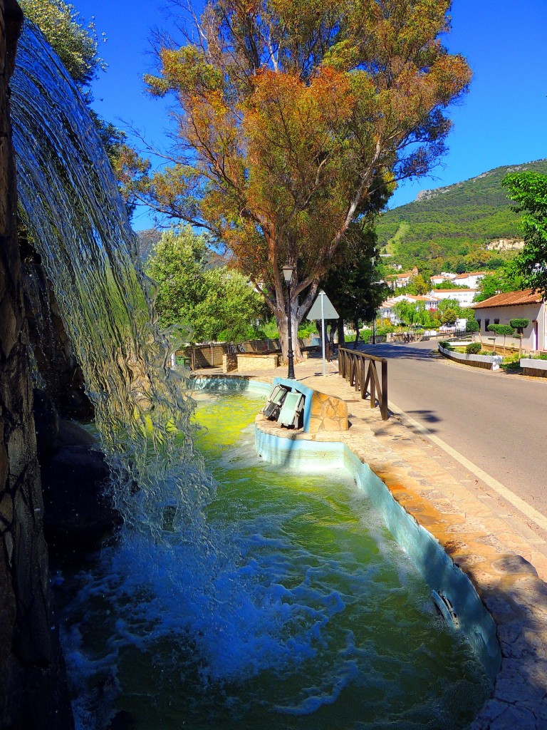 Foto de El Bosque (Cádiz), España