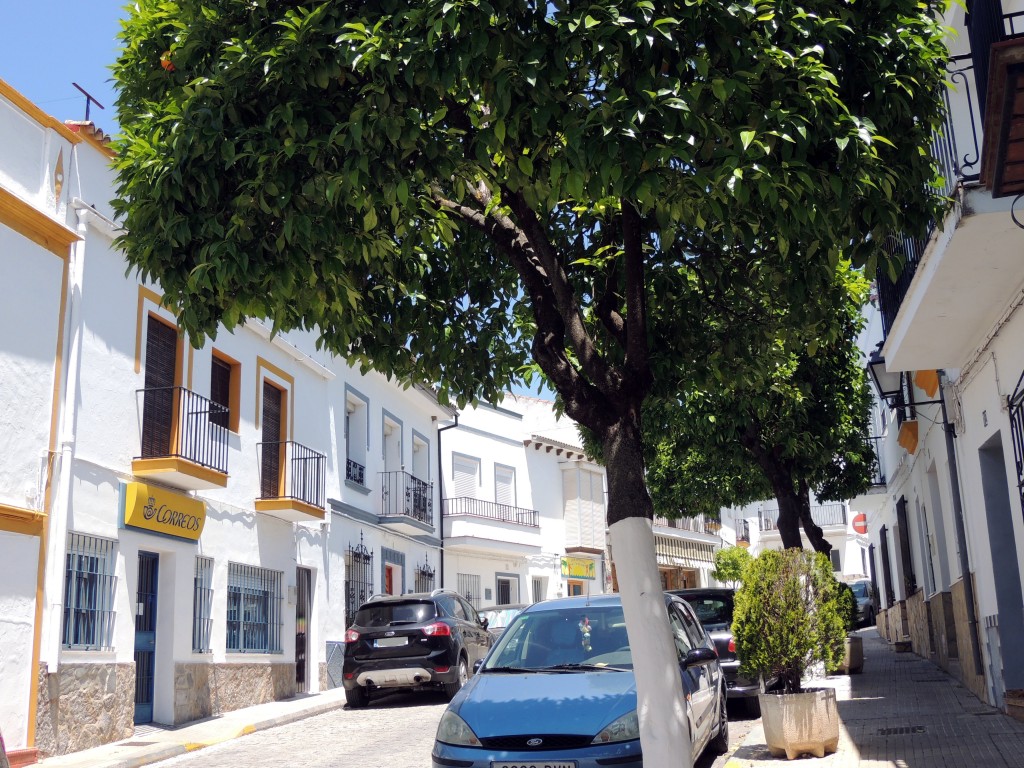 Foto de El Bosque (Cádiz), España