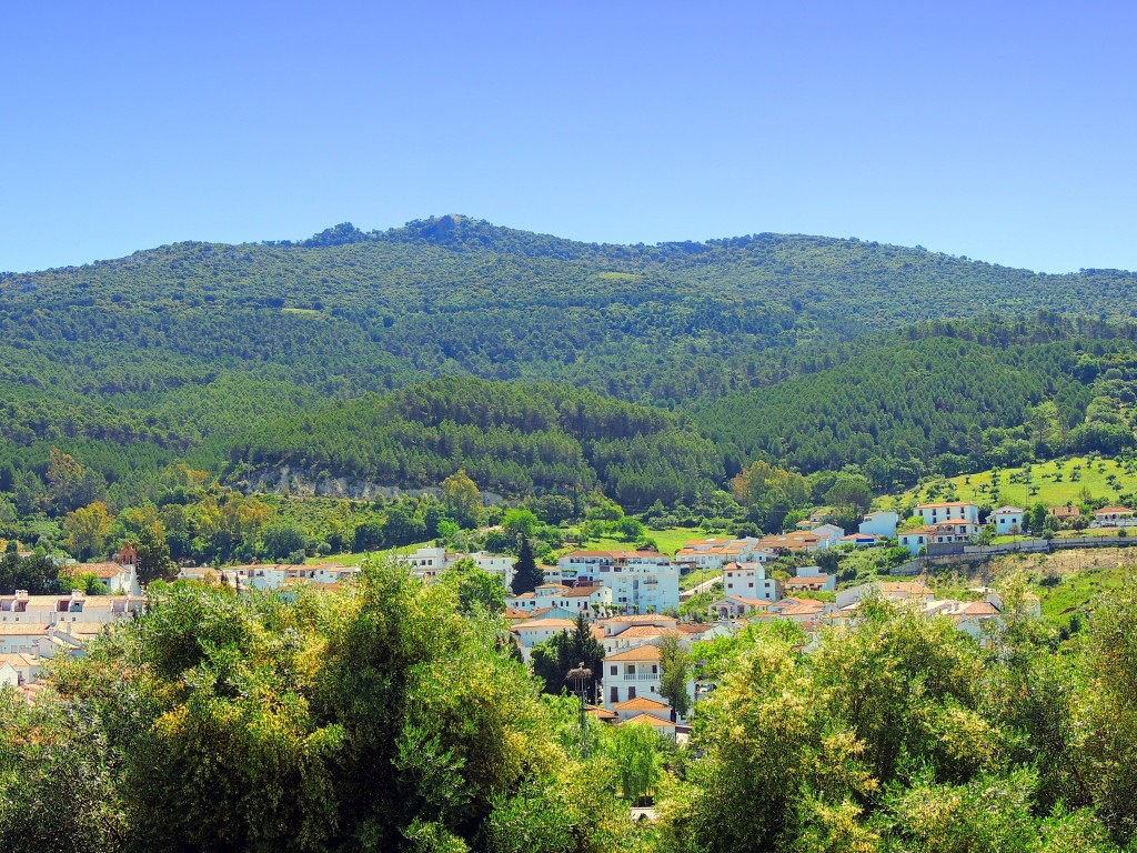 Foto de El Bosque (Cádiz), España