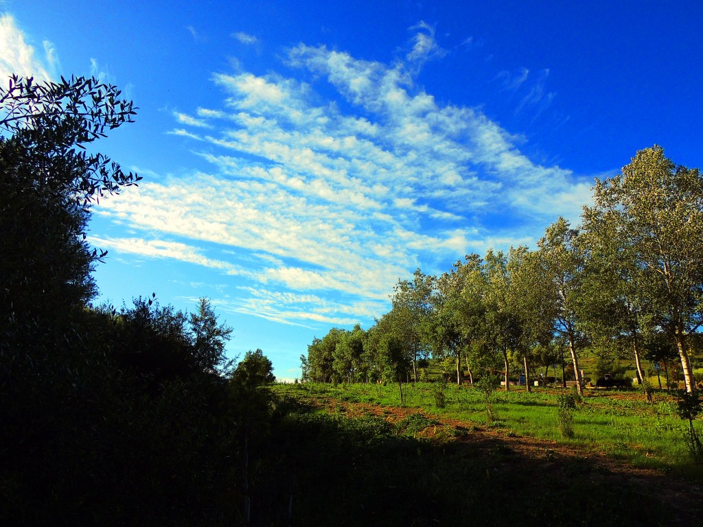 Foto de El Bosque (Cádiz), España