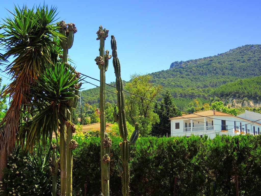 Foto de El Bosque (Cádiz), España