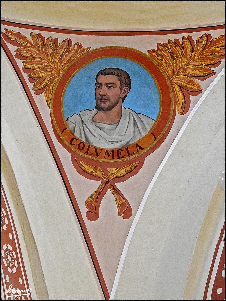 Foto: 160529-66 MOVERA-ST ENGRACIA - Movera (Zaragoza), España